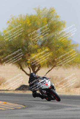 media/Apr-12-2025-Race Pace (Sat) [[9230add55f]]/Vested/6-Turn 4 Tree of Life (115pm)/